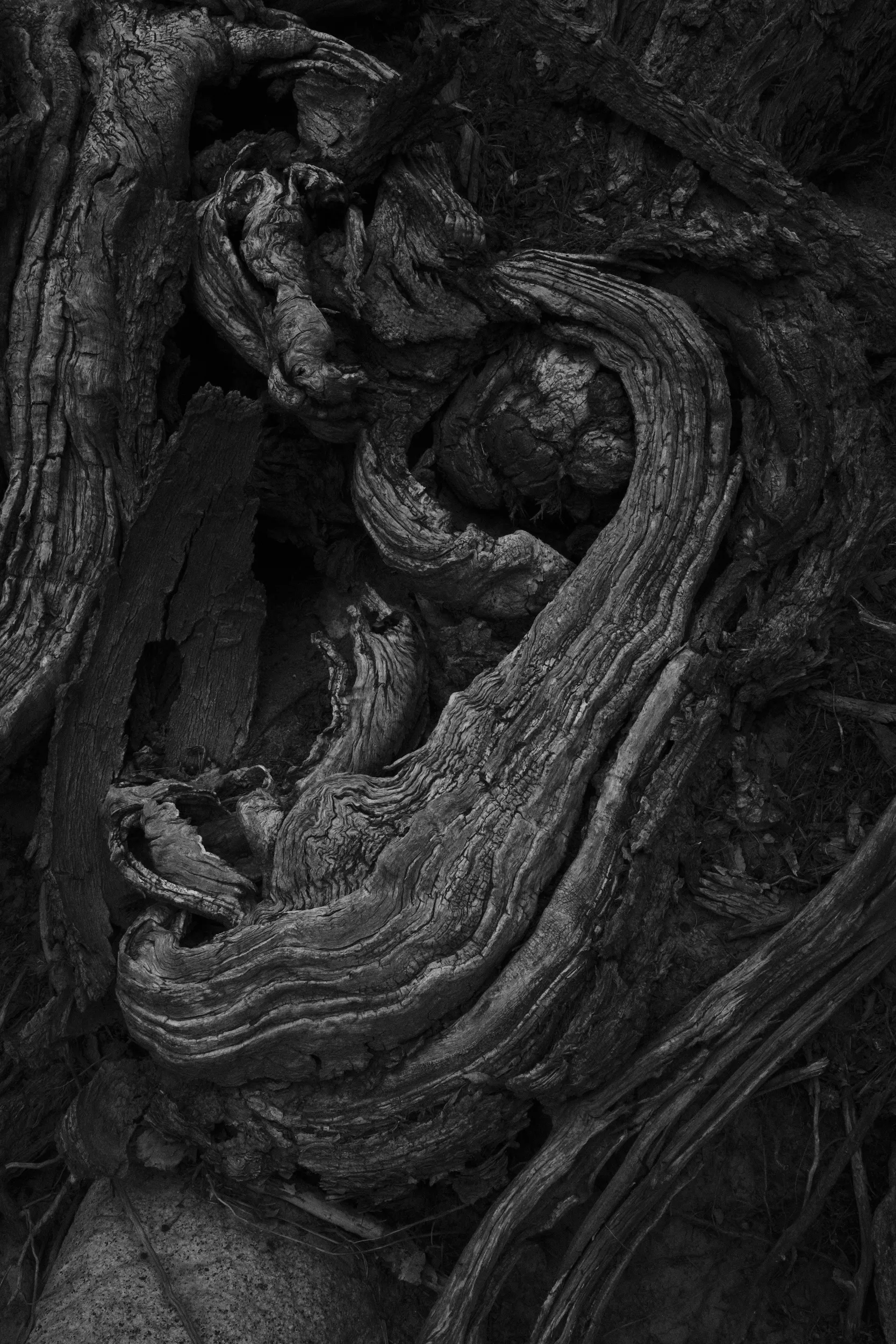 Cairu, plate 36 — fine art photograph by Mario Lalau